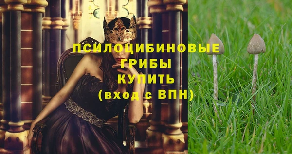 Альфа ПВП Абдулино