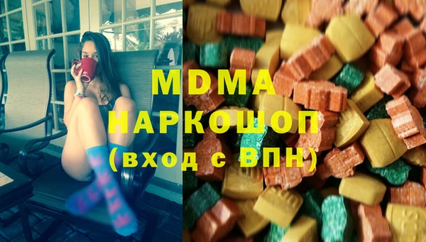 индика Алексин