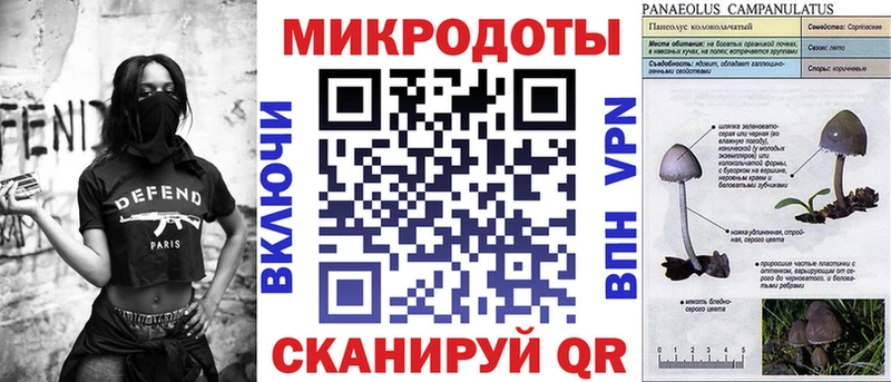 где найти наркотики  Каменка  нарко площадка официальный сайт  Галлюциногенные грибы Psilocybe 